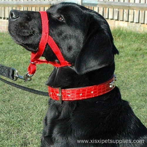 Durable Dog Head Colla Training Tool Leashes